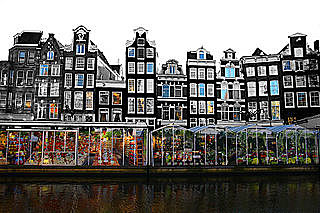 Aalsmeer o mercado de las flores (Holanda)