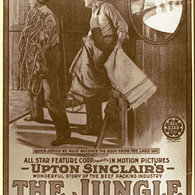 Timeline: The jungle