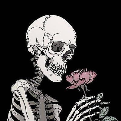 Timeline: redes sociales