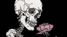 Timeline: redes sociales