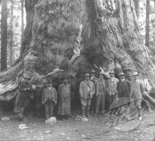 Roosevelt comienza la conservación de los bosques