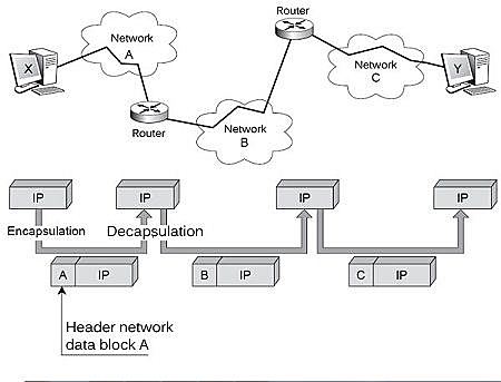 IP (Internet Protocol)
