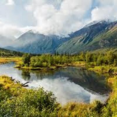 Timeline: History Timeline