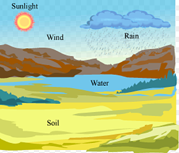 Abiotic factors of an Ecosystem