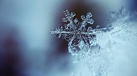 Timeline: Mi Vida. Gabriela Lopez Ruiz