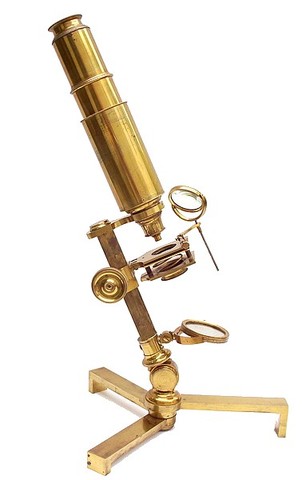 1660's and 1670's Creation of Microscopes