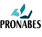 Programa Nacional de Becas para Estudios Superiores (PRONABES)