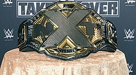 Timeline: NXT womens  history