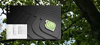 linux mint