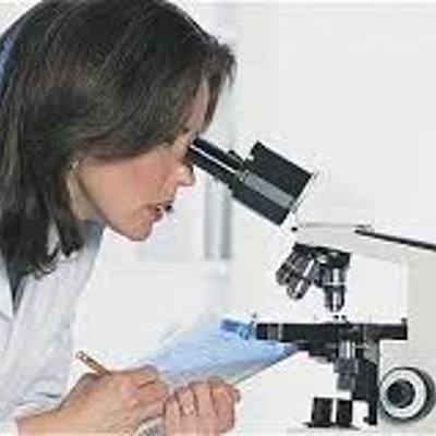 Timeline: Principales descubrimientos de la ciencia