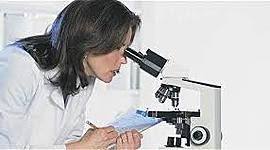 Timeline: Principales descubrimientos de la ciencia