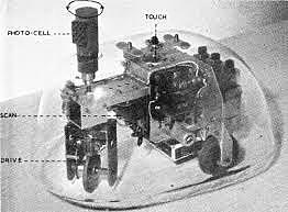 La tortue cybernétique