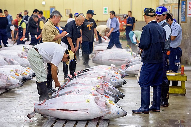 Mercado de pescado (Tsukiji, Tokio)