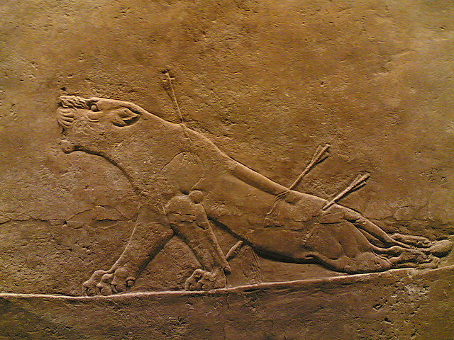 La “Lleona ferida”