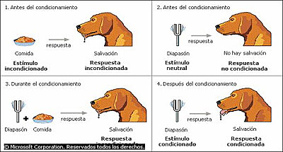 PAVLOV (1913) TEORIA DEL APRENDIZAJE - CONDUCTISMO