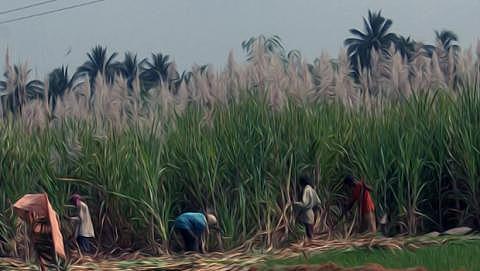 Las Farc y el Gobierno llegan a un primer acuerdo