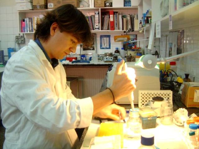 1970's Se comienza a investigar los CFC's (clorofluoro carbonos) que dañan la capa de ozono