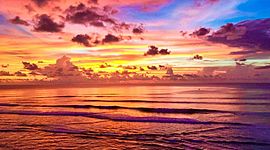 Timeline: Leilaś Timeline