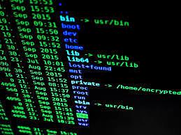 Riscos de l´informàtica