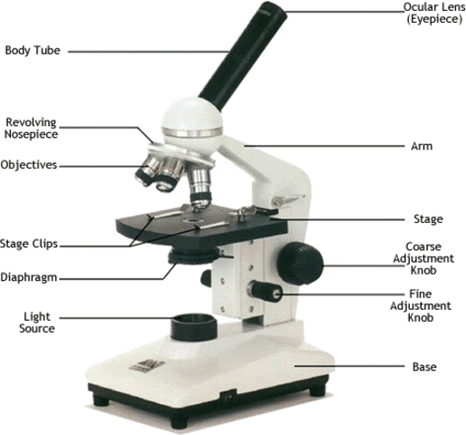 First Microscopes (1626-1697)