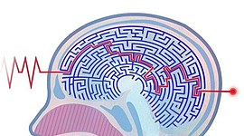 Timeline: Psicopatología de la infancia y adolescencia