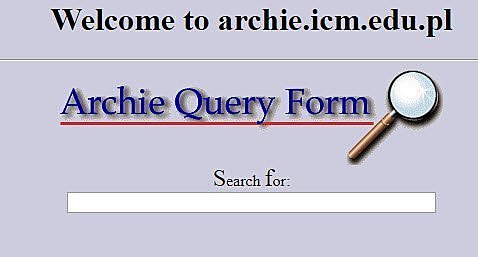 The First Search Engine