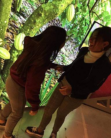 Important decision in P8