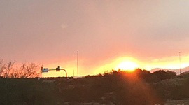 Timeline: History of Community College-(Phoenix College)