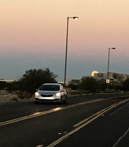 Going places with Phoenix College