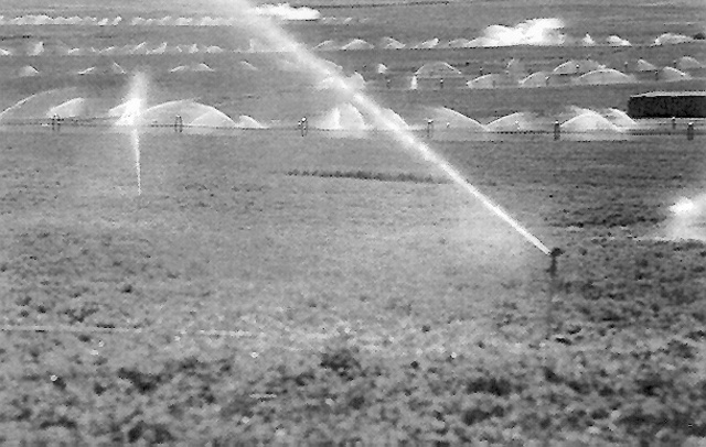 Water Quality Act, 1965