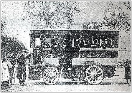 Primeros Híbridos del mundo