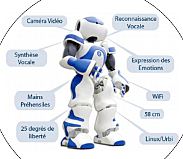 Ecobot 3 (2010)