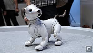 Aibo
