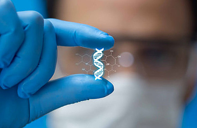 El siglo XX y XXI hasta hoy.