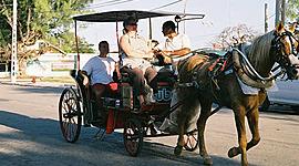 Timeline: Historia del transporte terreste
