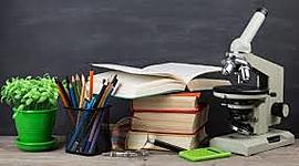 Timeline: Historia de la Educación