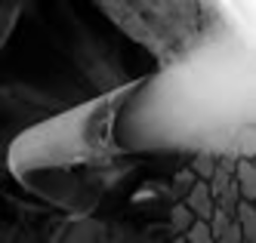 Water Quality Act, 1965