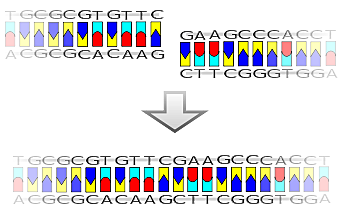 Uso de ADN recombinante