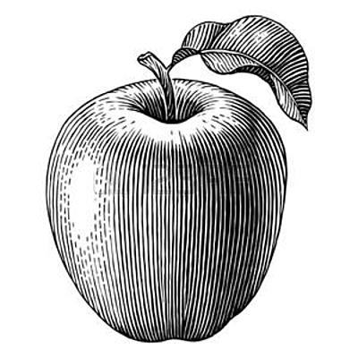 Timeline: maquina de escribir