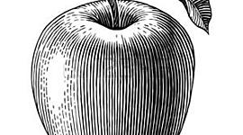 Timeline: maquina de escribir