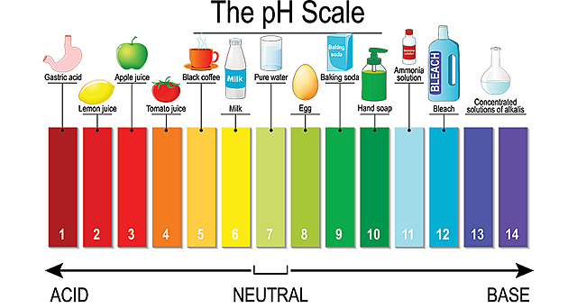 Dissolved CO2 + Decreased pH Levels