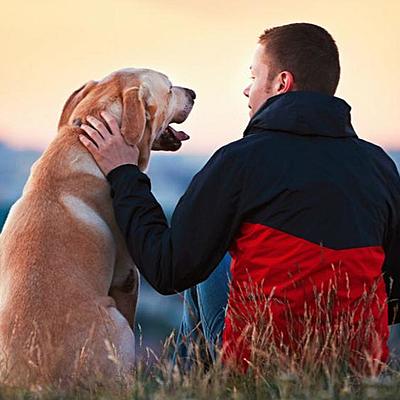 Timeline: linea del tiemo