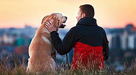 Timeline: linea del tiemo