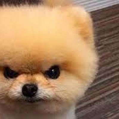 Timeline: lazaro's time line ,\_/,