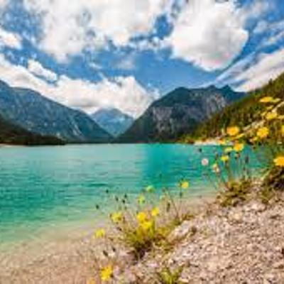 Timeline: Sophia's Timeline