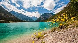 Timeline: Sophia's Timeline