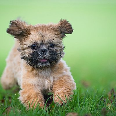 Timeline: Bethany's timeline