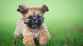 Timeline: Bethany's timeline