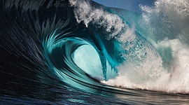 Timeline: wyatt's timeloine (*＾▽＾)／