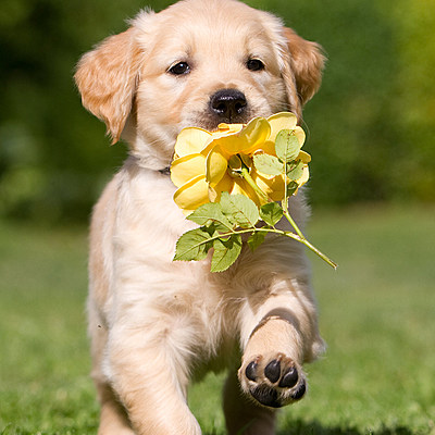 Timeline: Jocelyn's Timeline